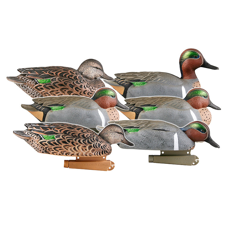 Banded Pro-Grade Green-Winged Teal
