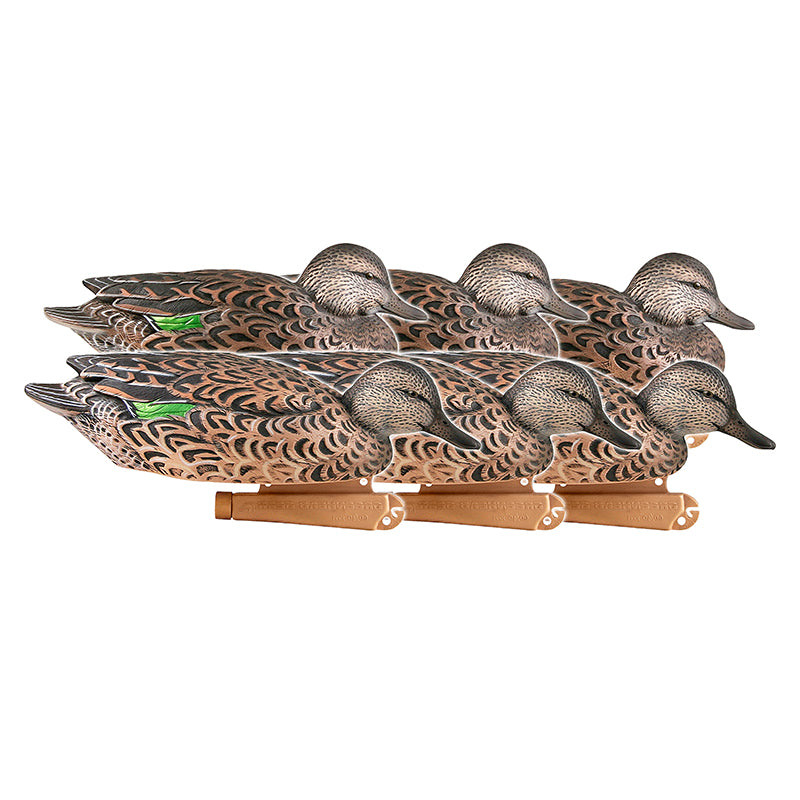 Banded Pro-Grade Green-Winged Teal Early Season Hen Pack