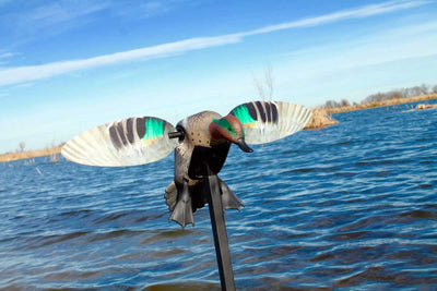 MOJO Elite Series Green-Wing Teal