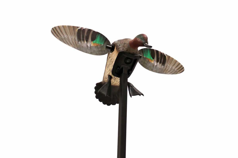 MOJO Elite Series Green-Wing Teal