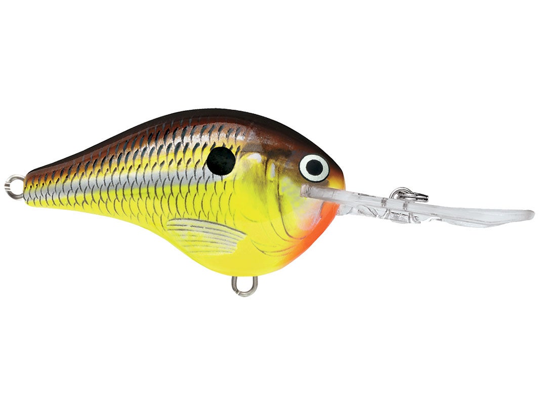Rapala DivesTo 4 Crankbaits