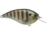 Daiwa Evergreen Flat Force