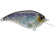 Daiwa Evergreen Flat Force