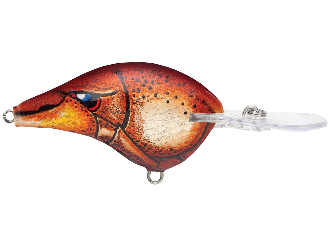 Rapala DivesTo 4 Crankbaits