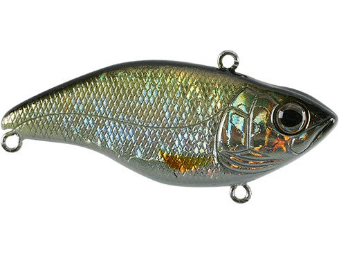 Spro Aruku Shad Jr