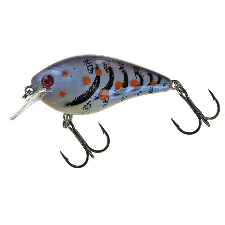 Strike King KVD Square Bill 2.5 Fishing Lure - Blue Craw Color Crankbait For Bass